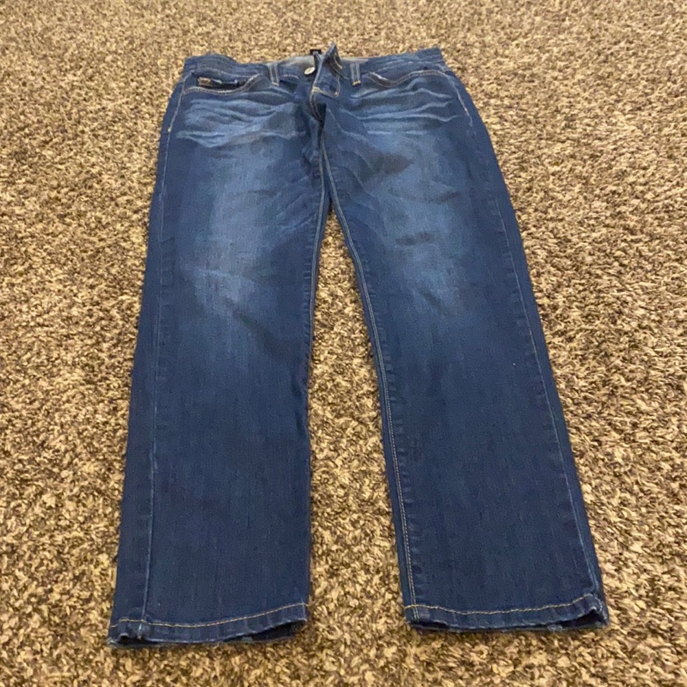 Flying Monkey - image 1